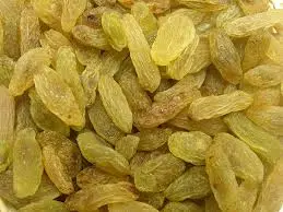 RAISINS ARYAN CRT