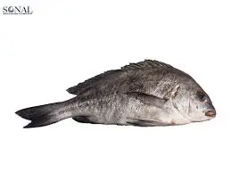 BURO M  MAURITANIE 20KG
