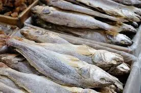 POISSON SALEN 10KG