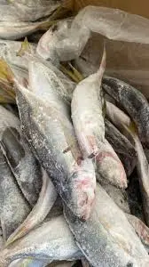 CHACHAR M SENEGAL 20KG