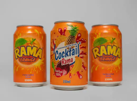 BOISSON RAMA CANNETTE 24*330ML