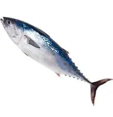 TON M 20KG