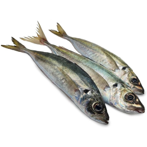 CHACHAR L MAROC 20KG