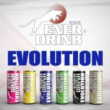 BOISSON EVOLUTION 24X250ML