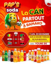 BOISSON PAP'S COLA SODA 12*33CL