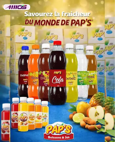BOISSON PAP'S LEMON SODA 12*33CL