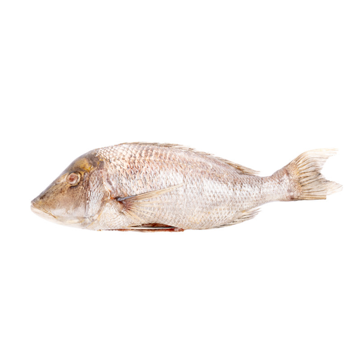 CAPITAINE 10KG POISSON