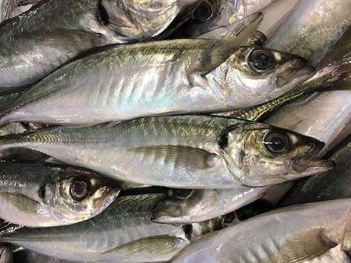 CHACHAR SENEGAL P 20KG